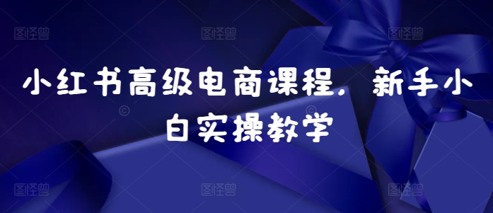 小红书高级电商课程，新手小白实操教学-全有网创