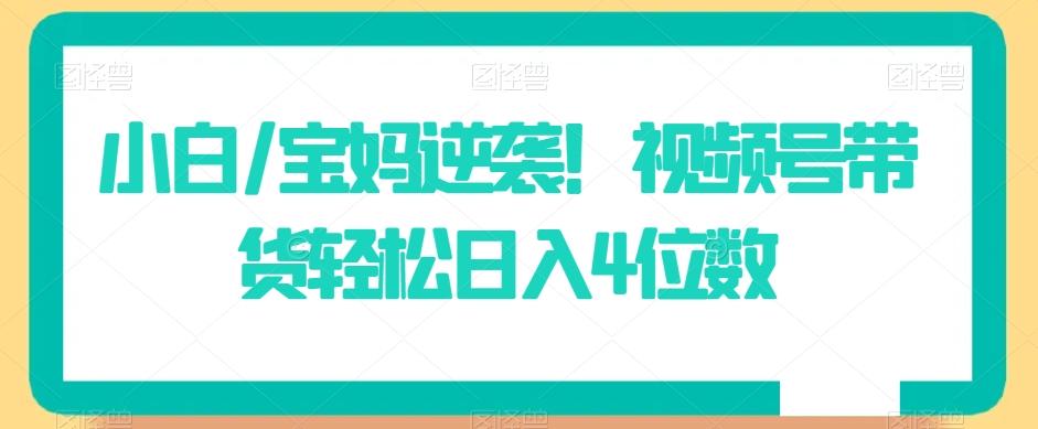 小白/宝妈逆袭！视频号带货轻松日入4位数【揭秘】-全有网创