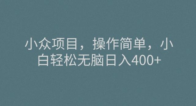 小众项目，操作简单，小白轻松无脑日入400+-全有网创