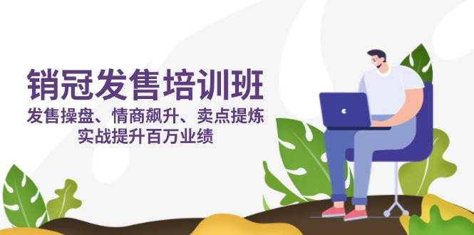 （14203期）销冠 发售培训班：发售 操盘+情商 飙升+卖点 提炼，实战提升百万业绩-全有网创