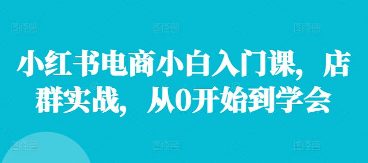 小红书电商小白入门课，店群实战，从0开始到学会-全有网创