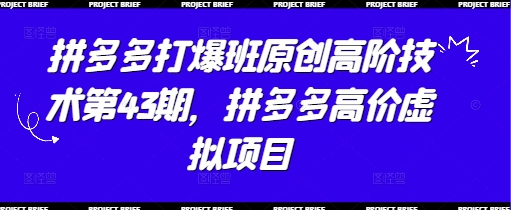 拼多多打爆班原创高阶技术第43期，拼多多高价虚拟项目-全有网创