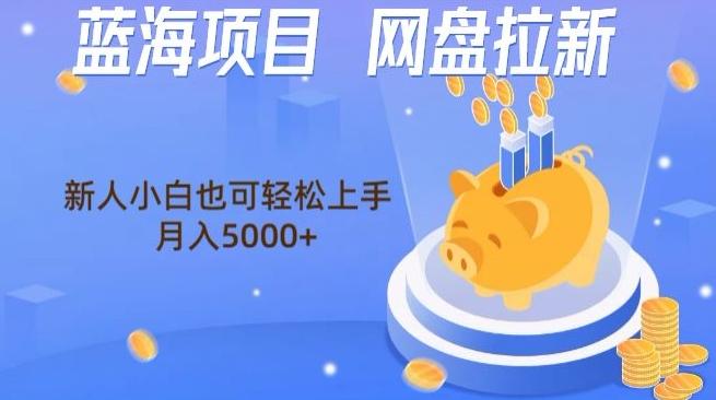 蓝海项目网盘拉新,新人小白也可操作,每月收入5000+