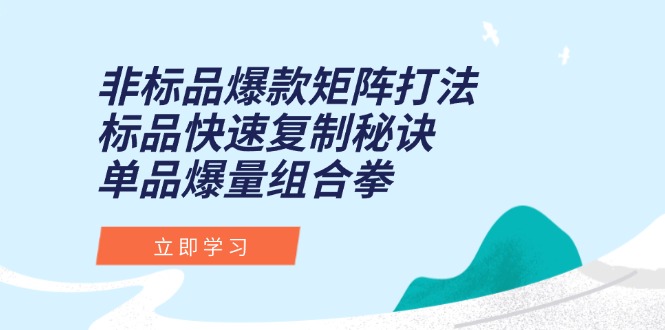 非标品爆款矩阵打法，标品快速复制秘诀，单品爆量组合拳-全有网创