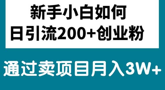 新手小白日引流200+创业粉,通过卖项目月入3W+-全有网创