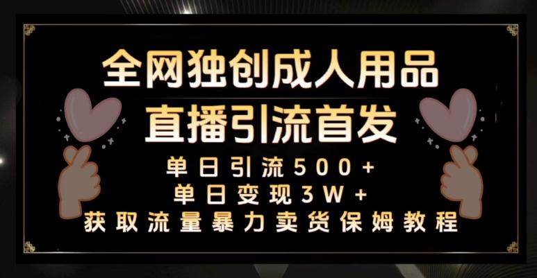 全网独创真人主播+无人直播单日引流500+，橙人用品暴力卖货单日变现3W+保姆似教学2.0【揭秘】-全有网创