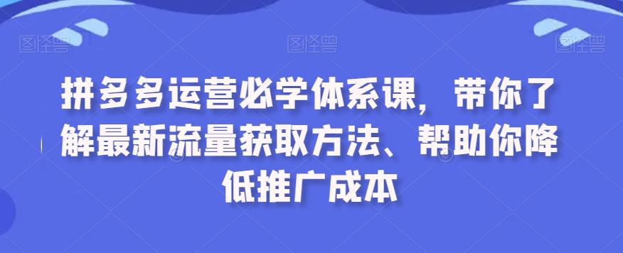 拼多多运营必学体系课，带你了解最新流量获取方法、帮助你降低推广成本-全有网创