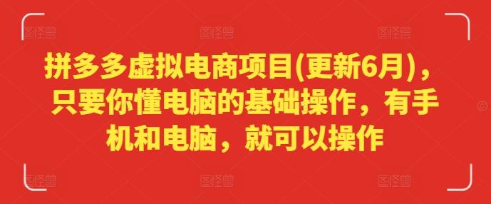 拼多多虚拟电商项目(更新6月)，只要你懂电脑的基础操作，有手机和电脑，就可以操作-全有网创