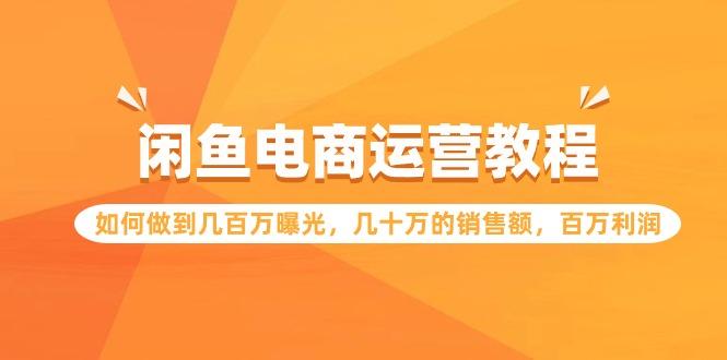 (9560期)闲鱼电商运营教程：如何做到几百万曝光，几十万的销售额，百万利润-全有网创