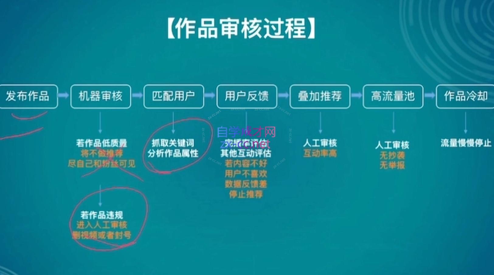 伊伊·红薯【高级班】运营课-全有网创