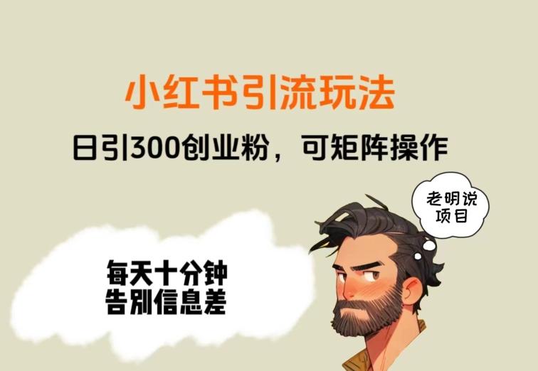 靠小红书视频日印300粉,两分钟一个视频轻松矩阵-全有网创