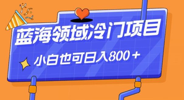 蓝海领域冷门赛道，一单39.9，日入800＋-全有网创