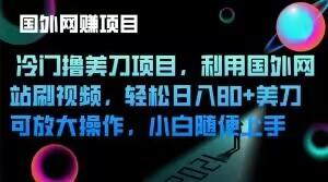 冷门撸美刀项目，利用国外网站刷视频，轻松日入80+美刀，可放大操作，小白随便上手-全有网创