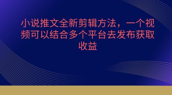 小说推文全新剪辑方法，一个视频可以结合多个平台去发布获取【揭秘】-全有网创