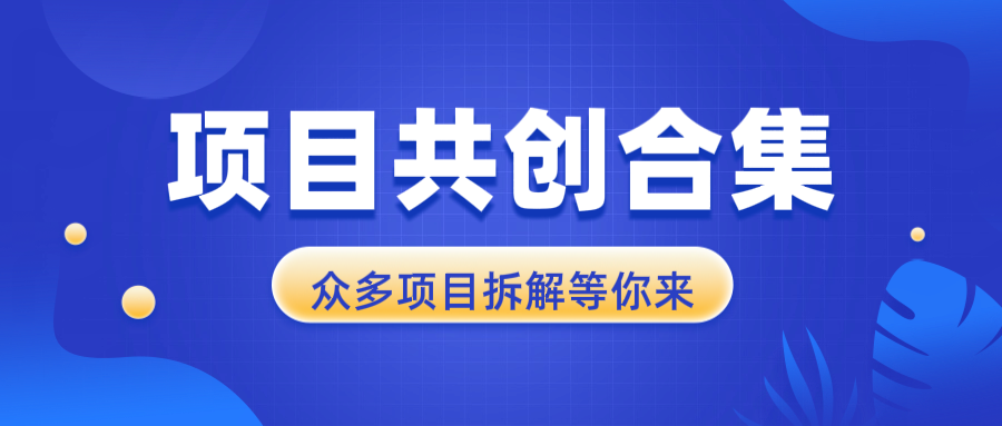 项目共创合集，从0-1全过程拆解，让你迅速找到适合自已的项目-全有网创