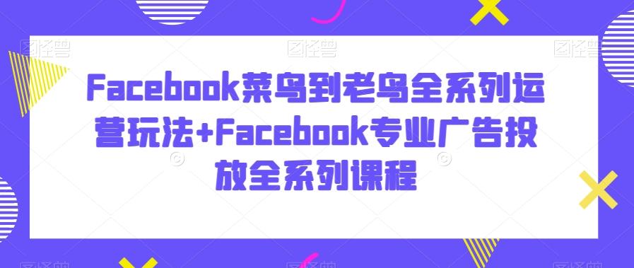 Facebook菜鸟到老鸟全系列运营玩法+Facebook专业广告投放全系列课程-全有网创