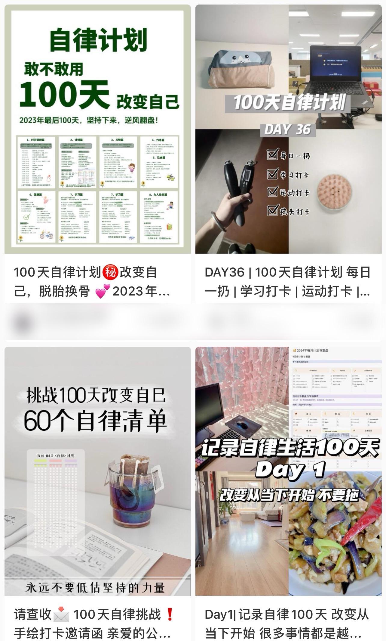 简单操作4个月赚9万！小红书打卡日变现1000+！一个被忽视的暴力项目-全有网创