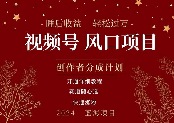 拥有睡眠收益的微信视频号大风口项目，轻松月入过万+，多赛道选择，可…-全有网创