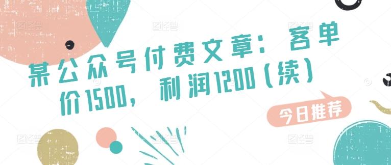某公众号付费文章：客单价1500，利润1200(续)，市场几乎可以说是空白的-全有网创