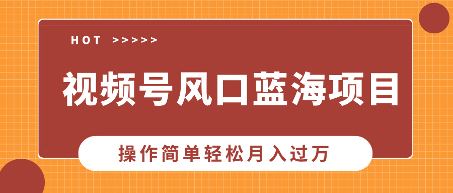 视频号风口蓝海项目，中老年人的流量密码，操作简单轻松月入过万-全有网创