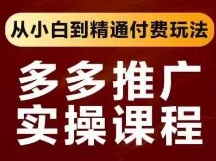 拼多多推广实操课程，从小白到精通付费玩法-全有网创
