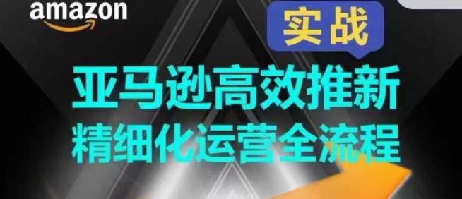 亚马逊高效推新精细化运营全流程，全方位、快速拉升产品排名和销量!-全有网创