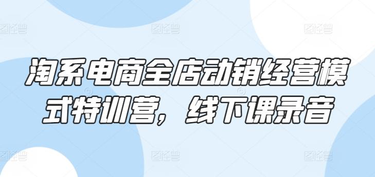 淘系电商全店动销经营模式特训营，线下课录音-全有网创