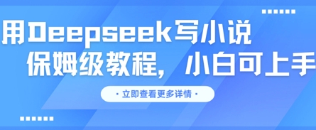用Deepseek写小说,保姆级教程,小白可实操-全有网创