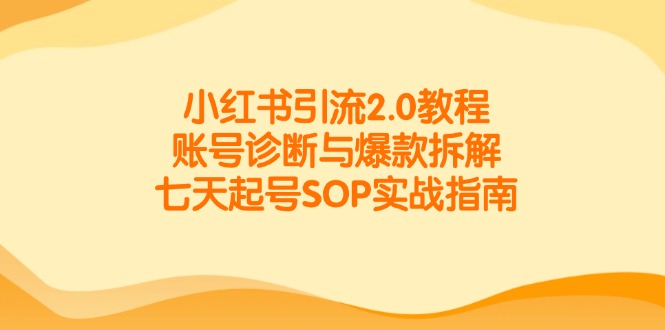 小红书引流2.0教程，账号诊断与爆款拆解，七天起号SOP实战指南-全有网创