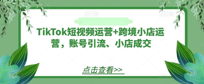 TikTok短视频运营+跨境小店运营，账号引流、小店成交-全有网创