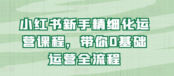 小红书新手精细化运营课程，带你0基础运营全流程-全有网创