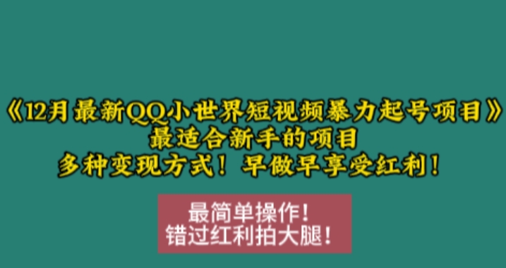 12月最新QQ小世界短视频暴力起号项目，最适合新手的项目，多种变现方式-全有网创