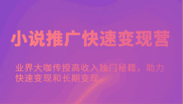 小说推广快速变现营-业界大咖传授高收入独门秘籍，助力快速变现和长期变现。-全有网创