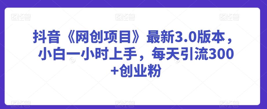 抖音《网创项目》最新3.0版本，小白一小时上手，每天引流300+创业粉【揭秘】-全有网创