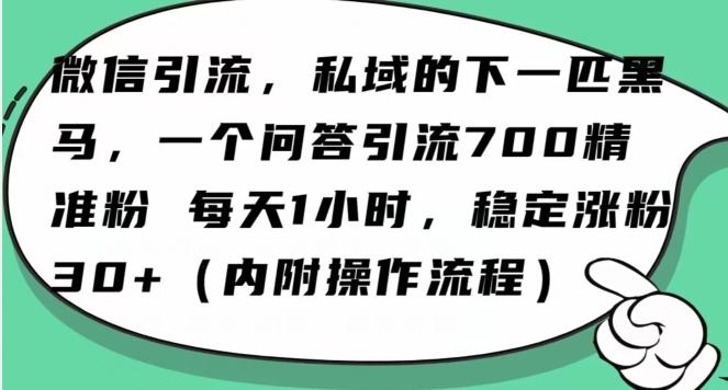 怎么搞精准创业粉？微信新赛道，每天一小时，利用Ai一个问答日引100精准粉-全有网创