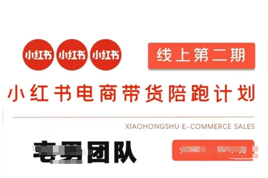 小红书电商带货课2期,月利润20个的小红书电商的有货源,无货源,虚拟产品,付费投流等整套玩法-全有网创