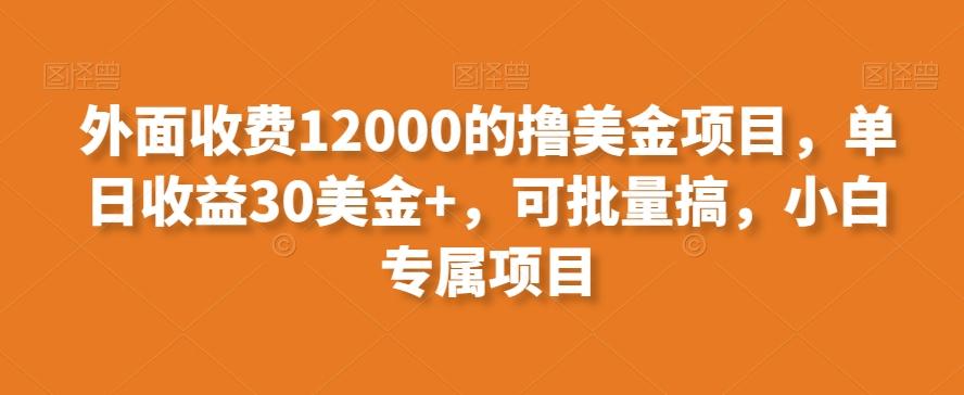 外面收费12000的撸美金项目，单日收益30美金+，可批量搞，小白专属项目-全有网创