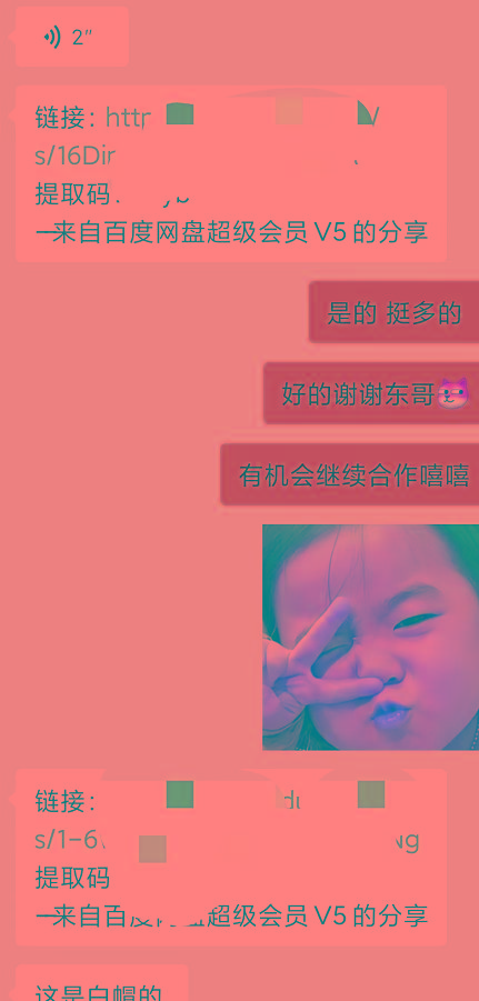 某收费培训：如何一个月快速做出盈利的资源网站(实打实经验)-18节无水印-全有网创