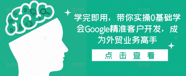 学完即用，带你实操0基础学会Google精准客户开发，成为外贸业务高手-全有网创