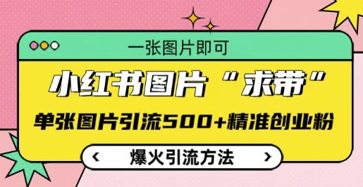 小红书图片‘求带’爆火引流法，单张图片引流500+精准创业粉【揭秘】-全有网创