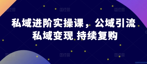 私域进阶实操课，公域引流 私域变现 持续复购-全有网创
