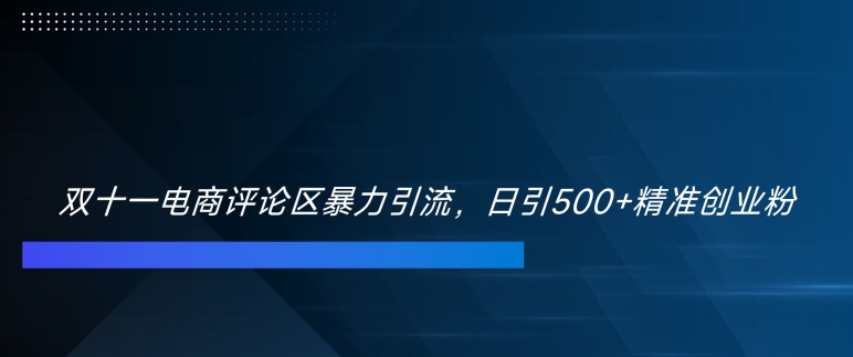 双十一电商评论区暴力引流，日引500+精准创业粉【揭秘】-全有网创