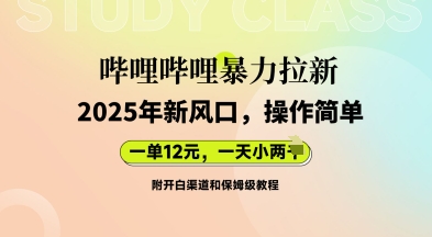哔哩哔哩暴力拉新：2025年新风口，一单12元，一天数张(附开白渠道和保姆级教程)-全有网创