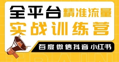 全平台精准流量实战训练营,百度微信抖音小红书SEO引流教程