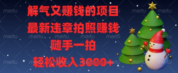 解气又挣钱的项目，最新违章拍照挣钱，随手一拍，轻松收入数张【揭秘】-全有网创