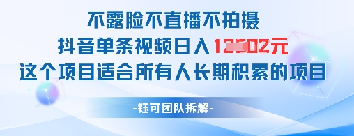不露脸不直播不拍摄抖音单条视频日入1k+这个项目适合所有人长期积累的项目-全有网创