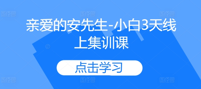 亲爱的安先生-小白3天线上集训课-全有网创