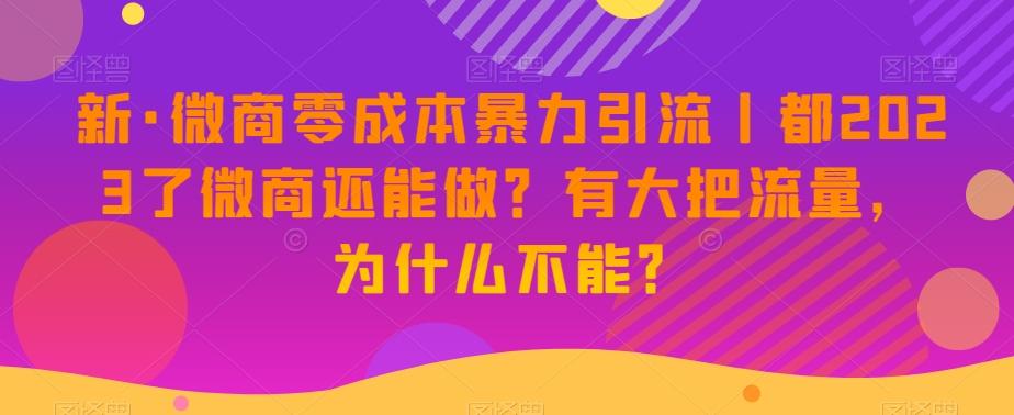 新·微商零成本暴力引流丨都2023了微商还能做?有大把流量,为什么不能?