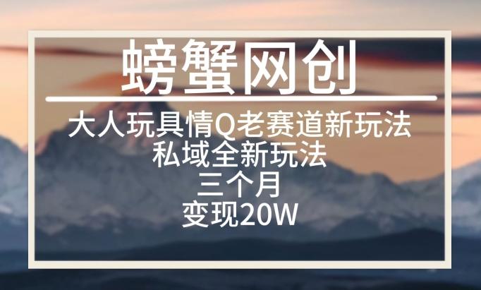 大人玩具情Q用品赛道私域全新玩法，三个月变现20W，老项目新思路【揭秘】-全有网创